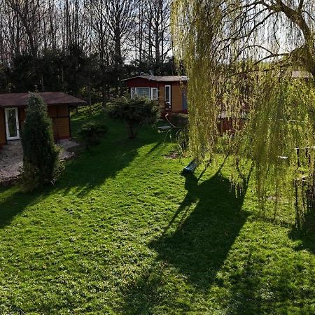 Izerski Poranek Gryfów Śląski Exteriör bild